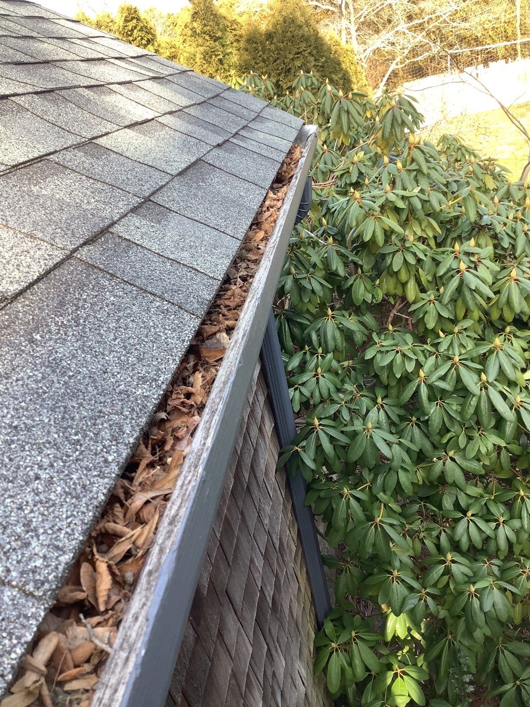 A gutter that needs to be cleaned per the spring home maintenance checklist