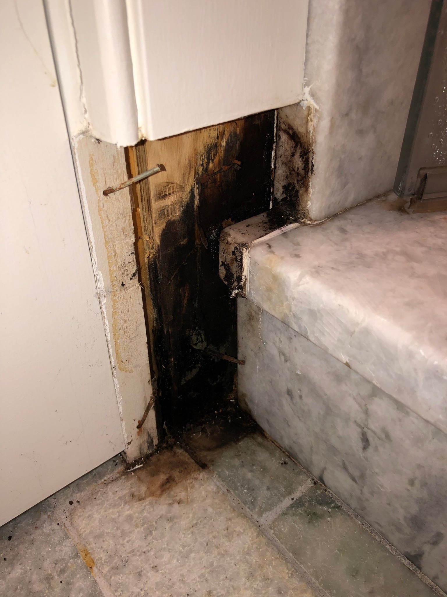 wood rot is a common interior issue